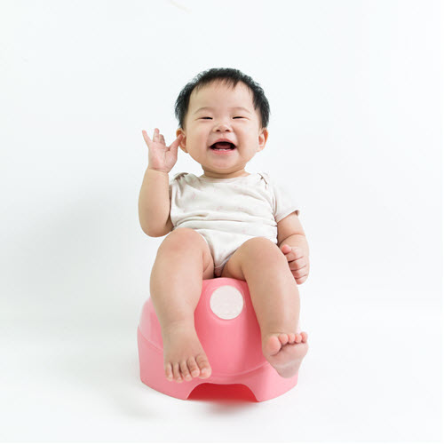 Potty Training Tools & Tips