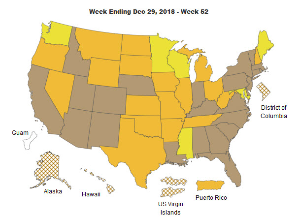 Weekly Influenza Report